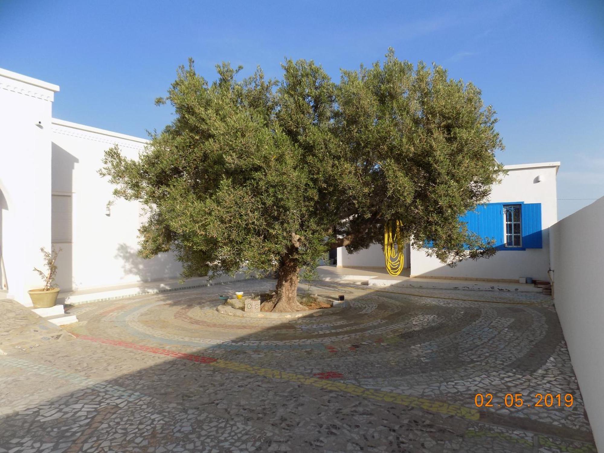 לינה וארוחת בוקר Sidi ash Shammakh Dar Mamina מראה חיצוני תמונה