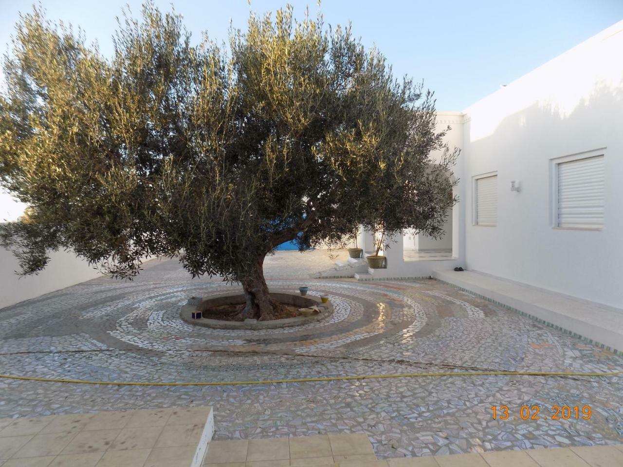 לינה וארוחת בוקר Sidi ash Shammakh Dar Mamina מראה חיצוני תמונה