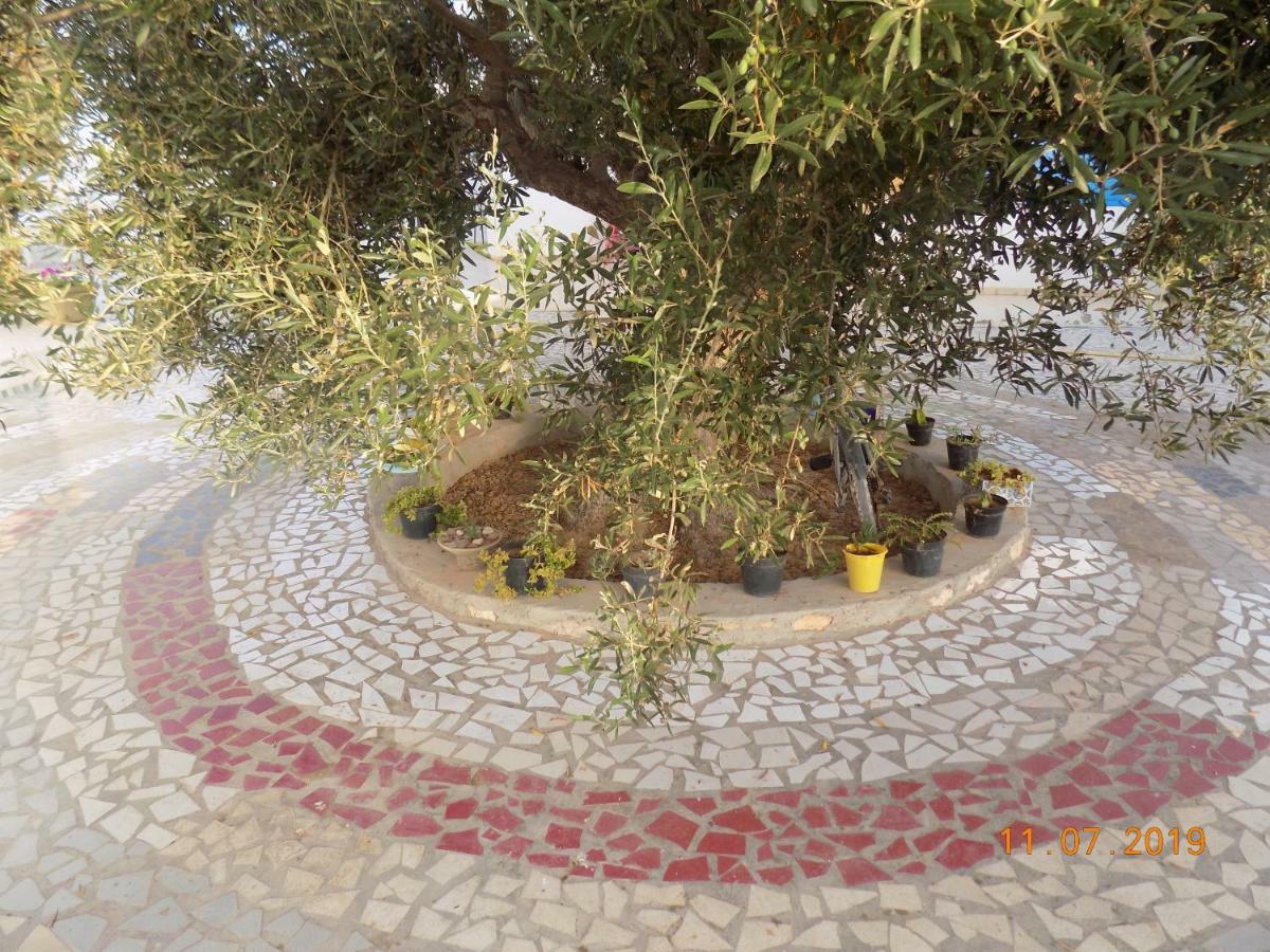 לינה וארוחת בוקר Sidi ash Shammakh Dar Mamina מראה חיצוני תמונה